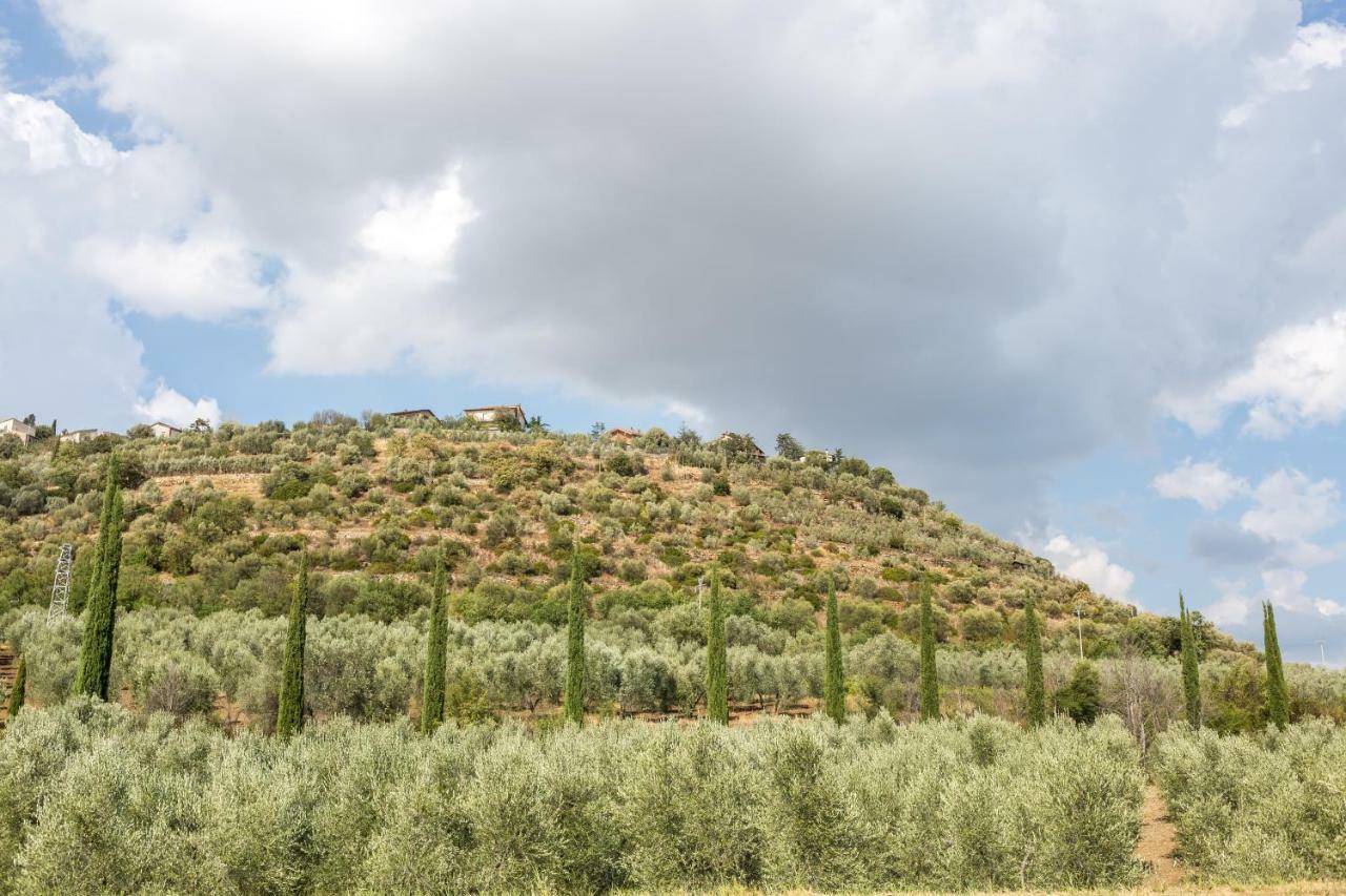 Little Val D'Orcia Apartment Montenero d'Orcia Exterior photo